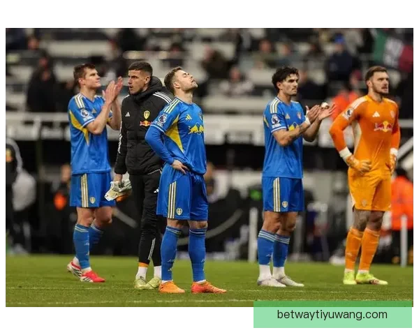 维罗纳主场鏖战佛罗伦萨法乔利射门击中球框难破僵局